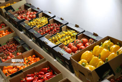  برگزاری نمایشگاه اگروفود در حاشیه اجلاس استانداران خزر