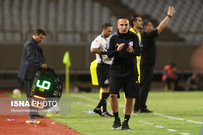  کعبی: مثل بعضی‌ها موذی نیستم / وحید هاشمیان به خاطر ادبش اخراج شد