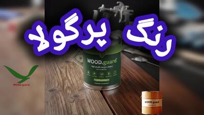  محافظت بیولوژیکی: چگونه رنگ چوب وود گارد (WOOD.guard) با خاصیت ضد قارچ و ضد کپک