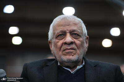  بادامچیان: امکان حمله آمریکا و اسرائیل به این زودی‌ها وجود ندارد/ کشوری که 15 همسایه دارد، تحریم برایش معنی ندارد/ انتقاد از اصلاح طلبان، ظریف و روحانی: باعث ادامه دعوای سیاسی نشوند