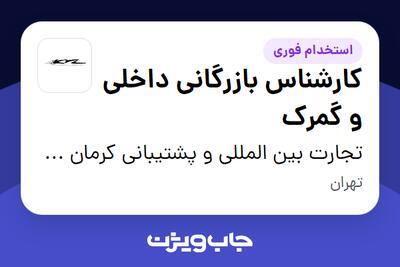  استخدام کارشناس بازرگانی داخلی و گمرک - آقا در تجارت بین المللی و پشتیبانی کرمان خودرو