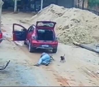  فیلم لحظه هولناک حمله سگ در خیابان به یک مرد