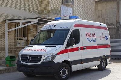  احیای موفق نوزاد ۱۳ ماهه دچار ایست قلبی، تنفسی در اردبیل