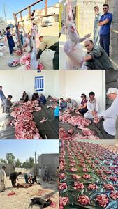  عکس: قربانی کردن گوسفندان برای طلب باران در جنوب ایران