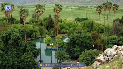  آتش‌سوزی در چشمه بلقیس چرام + عکس