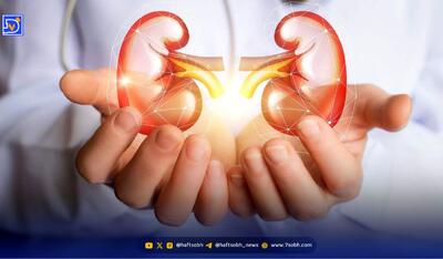  اگر کلیه های فول انرژی می خواهید این میوه ها و سبزیجات مختص شماست