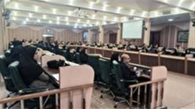  برگزاری کارگاه بازآموزی اختلالات شایع روانپزشکی در یزد