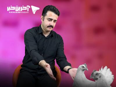  ای مرغ! برگرد و برای ما قدقد کن...