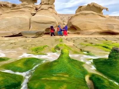  طبیعت خارق العاده سواحل جنوب ایران