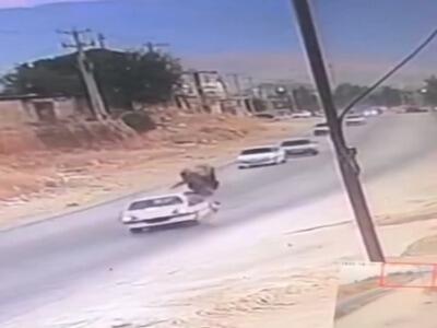  ویدئویی از تصادف وحشتناک پژو با اسب