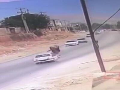  لحظه تصادف هولناک پژو با اسب در کازرون