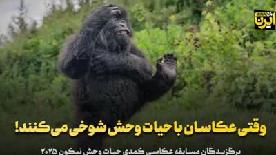  وقتی عکاسان با حیات وحش شوخی می‌کنند!