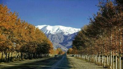  خیابان ولیعصر تهران در سال ۱۳۳۹؛ گذر میان چنار‌های هزارساله (فیلم)