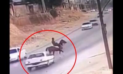  تصادف شدید پژو با اسب در کازرون (فیلم)