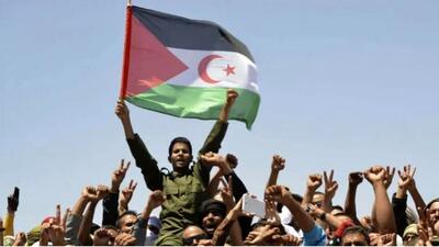  جبهه پولیساریو خودمختاری زیر نظر مراکش را رد کرد