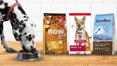  غذای سگ خود را قسطی بخرید و دیگر نگران هزینه‌های ماهانه نباشید!