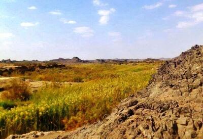  تهدید بقای حیات وحش ایرانشهر درپی خشکسالی ها از تثبیت شن‌های روان تا مالچ‌پاشی