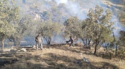  مهار آتش سوزی در منطقه حفاظت شده قلاجه