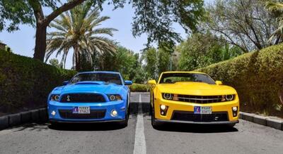  پلاک مناطق آزاد، عبور غیرقانونی از مرز قانون