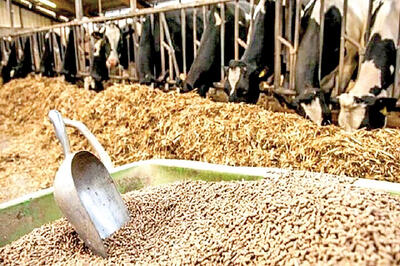  نارضایتی از عدم تحویل به موقع نهاده‌های دامی