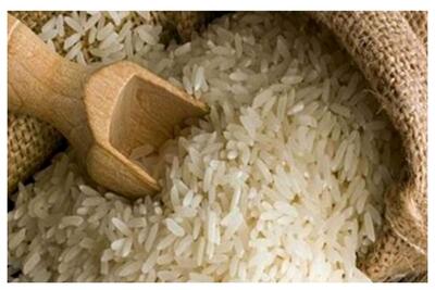  انتقاد وزیر جهاد کشاورزی از گرانفروشی برنج/ خبر تازه درباره بودجه سال ۱۴۰۵