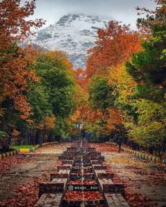  عکس/ پاییز حیرت انگیز باغ منظریه اقامتگاه همسر ناصرالدین‌شاه | اقتصاد24