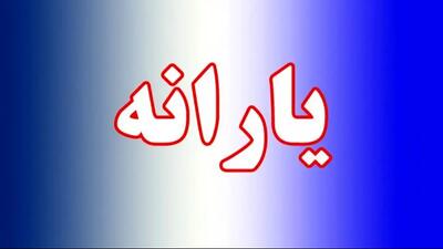  چالش‌های مردم در سامانه ثبت اعتراض به حذف یارانه