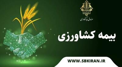  پرداخت ۱۵ هزار میلیارد ریال غرامت به کشاورزان خسارت دیده