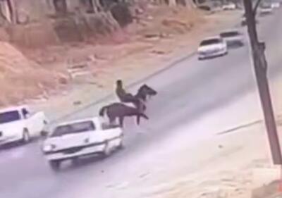  ببینید / برخورد شدید پژو با اسب در کازرون!