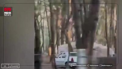  ماجرای قطع درختان در چمستان مازندران چه بود؟