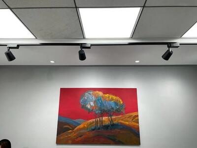  چراغ سقفی دیفیوزری؛ نور یکنواخت با طراحی بی‌نقص