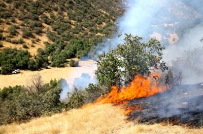  آتش‌سوزی در بخشی از جنگل‌های مرزن‌آباد چالوس