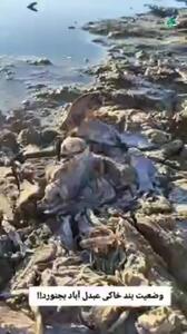  وضعیت عجیب خشکسالی بندخاکی عبدل‌آباد بجنورد + فیلم