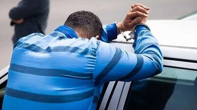  سرقت های سریالی مرد تحصیلکرده به خاطر هیجان