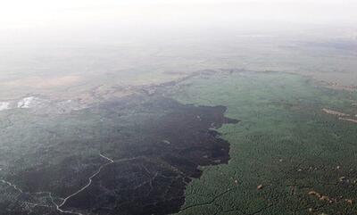  استاندار خوزستان: کارگروه ملی برای مهار آتش‌سوزی هورالعظیم تشکیل می‌شود