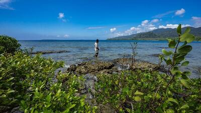  سرمایه‌گذاری در طبیعت؛ گزینه‌ای مهم برای تاب‌آوری اقتصاد آسیا
