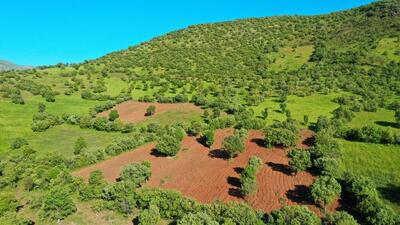  رییس اداره حفاظت محیط زیست شهرستان اعلام کرد: رفع تصرف ۲.۵ هکتار از اراضی منطقه حفاظت شده «باهوکلات» در راسک