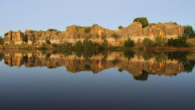  المپیک ۲۰۳۲ در قلمرو کروکودیل‌ها!