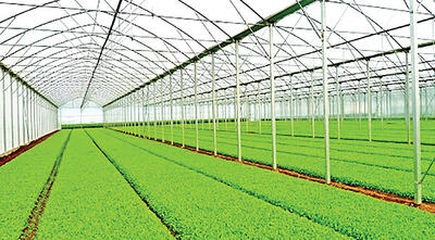  معاون استاندار خوزستان:  شهرک‌های کشاورزی زیرساخت تحقق کشاورزی نوین هستند