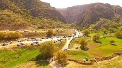  مدیرکل محیط زیست استان ایلام: «دینارکوه»؛ پناهگاه حیات‌وحش و گونه‌های نادر گیاهی است