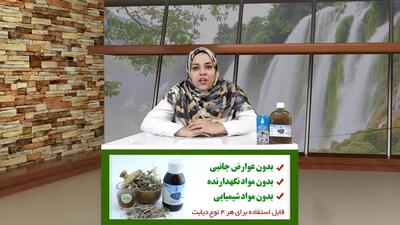  عصاره بوقناق برای درمان گیاهی دیابت | پارت دوم از آشاارگانیک