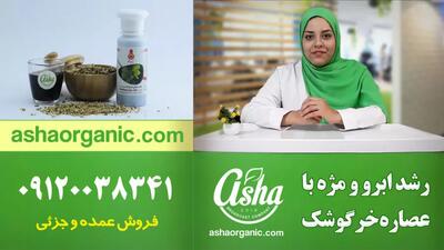  خواص بی‌نظیر گیاه خرگوشک | معجزه‌ای طبیعی برای سلامت بدن