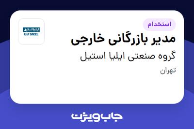  استخدام مدیر بازرگانی خارجی - آقا در گروه صنعتی ایلیا استیل