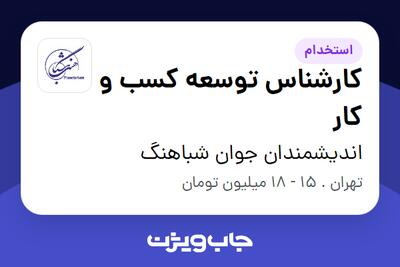  استخدام کارشناس توسعه کسب و کار در اندیشمندان جوان شباهنگ