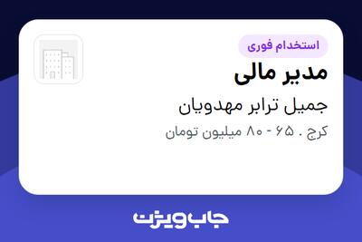  استخدام مدیر مالی در جمیل ترابر مهدویان