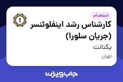  استخدام کارشناس رشد اینفلوئنسر (جریان سلورا) در یکتانت