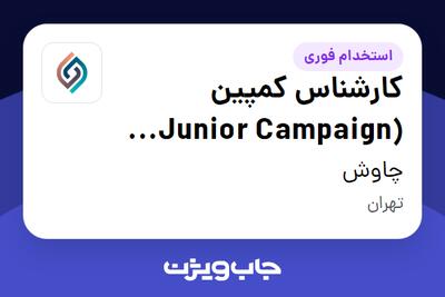  استخدام کارشناس کمپین (Junior Campaign Manager) در چاوش