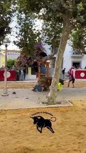  فیلم حمله گاو خشمگین به دو مرد در مسابقه گاوبازی