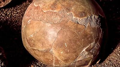  کشف عجیب: تخم‌ مرغ 1700 ساله با مایعی سالم!