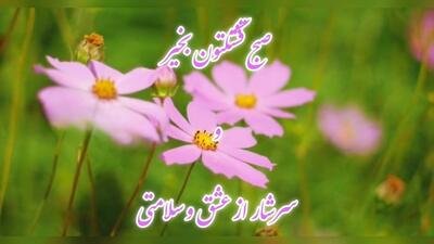  کلیپ سلام صبح بخیر ( ۱۵ ویدیو قشنگ صبح بخیر برای استوری و واتساپ)